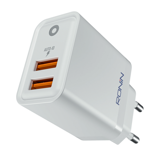Ronin R-6055 Charger