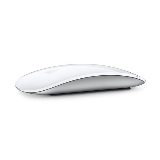 Apple Magic Mouse USB-C — Silver / White